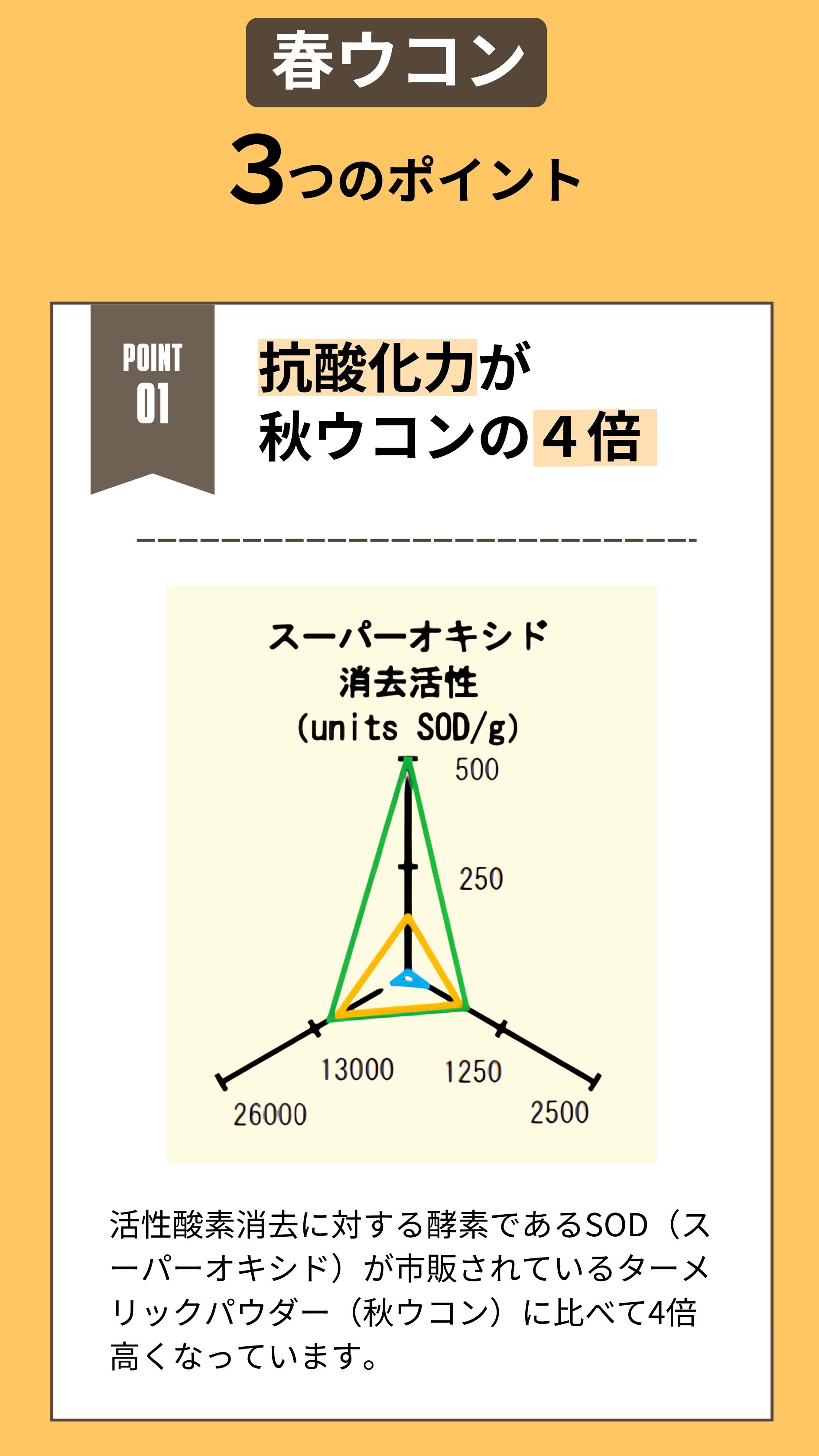 春ウコン3つのポイント